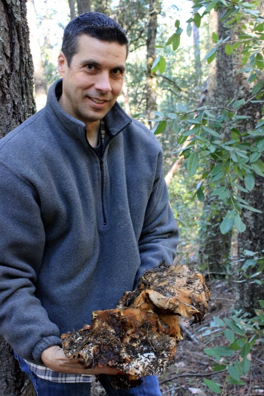 pete with mushroom largest wild mushroom