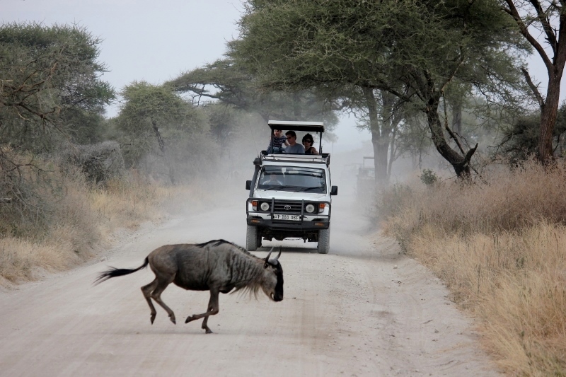 Things to do Before You Die: Go on an African Safari