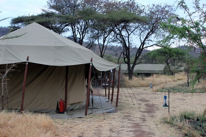 Glamping Serengeti