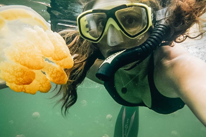 A Guide to Swimming in Palau's Freshwater Jellyfish Lake