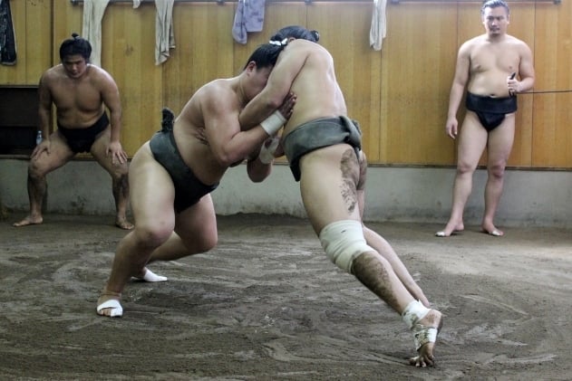 Tokyo Sumo Stable