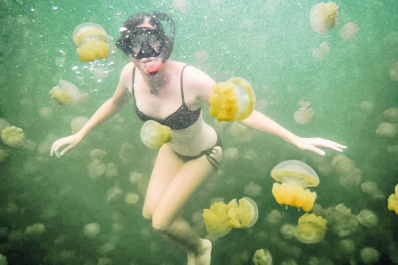 swimming in Jellyfish Lake in Palau