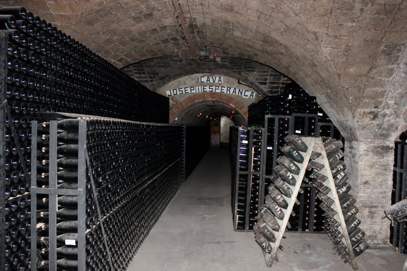 Gramona Cava Cave in Spain