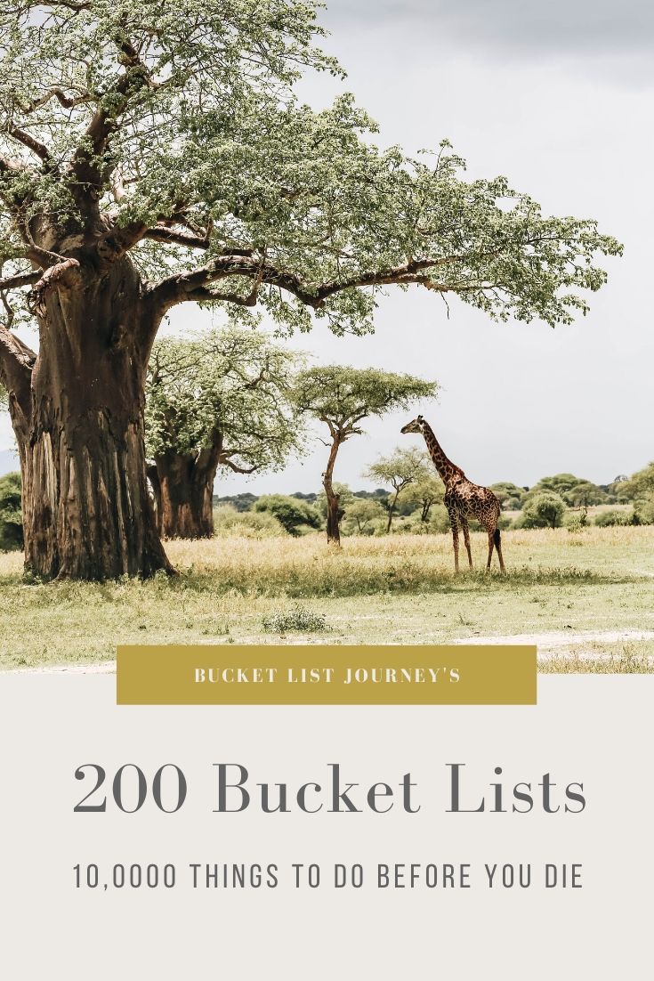 200 Bucket List Examples 10,000 Things To Do Before You Die