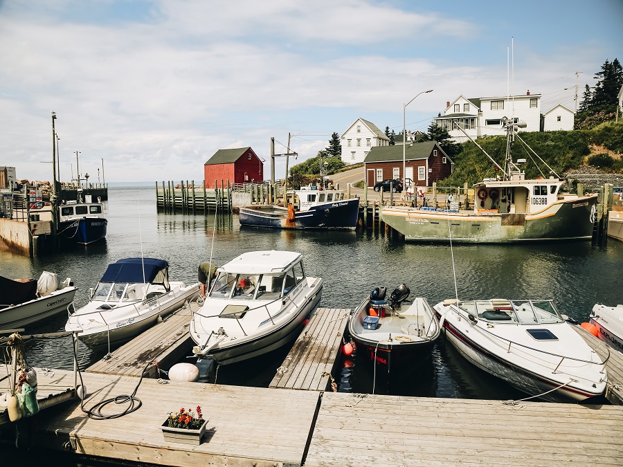 Nova Scotia High Tide