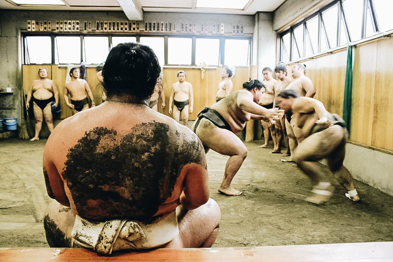 Sumo Wrestling Practice: Top Thing to Do in Tokyo