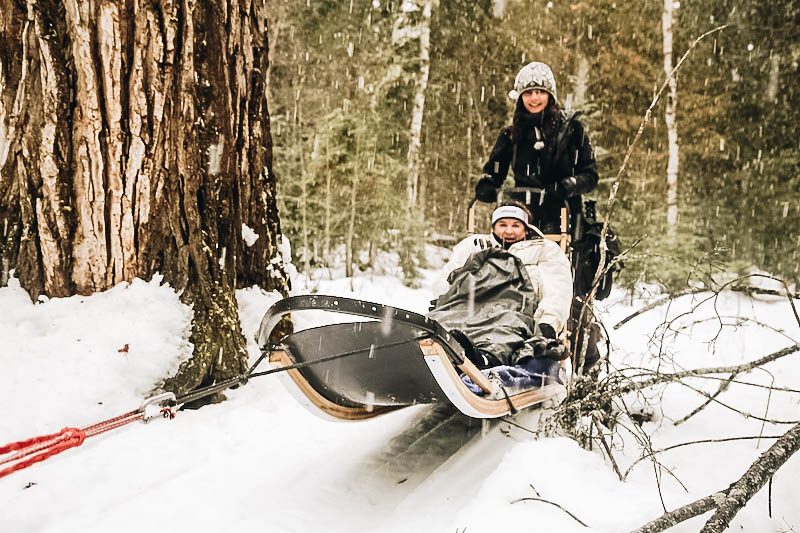 Dogsledding in Bigfork Montana