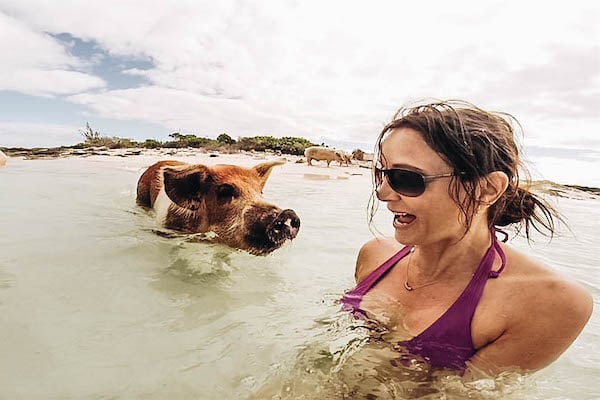 Annette White the Swimming Pigs of Exuma