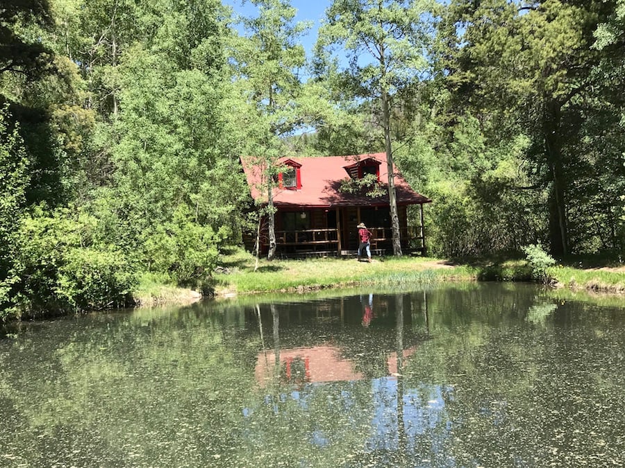 The World Needs More Cowgirls and Cowboys - Drowsy Water Ranch