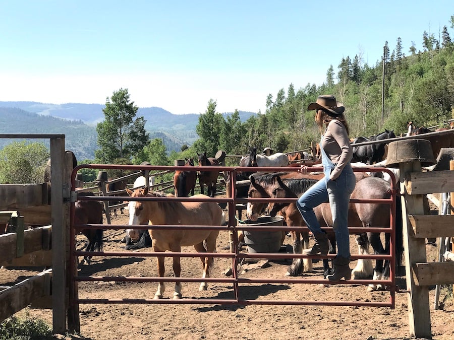 The World Needs More Cowgirls and Cowboys - Drowsy Water Ranch