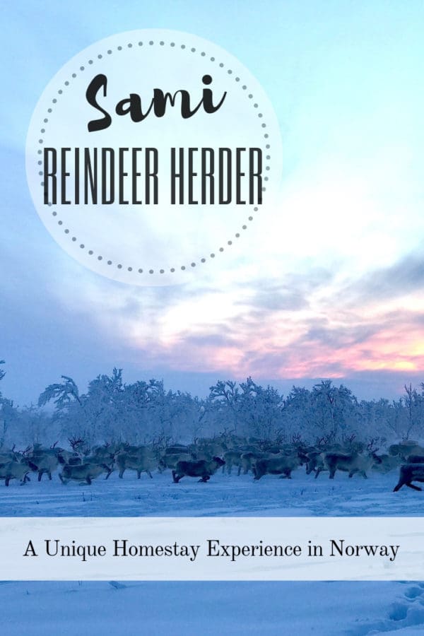 A Home Stay Tour in Norway with a Native Sámi Reindeer Herder