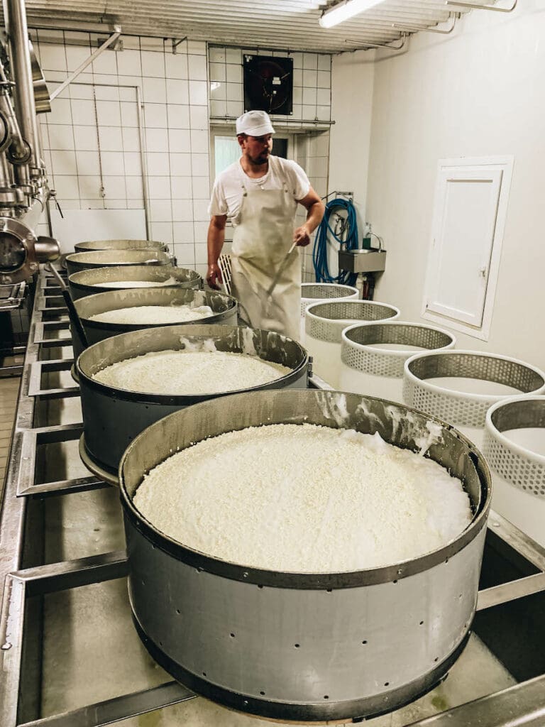 Making of Comte Cheese at fruitieres in large vats