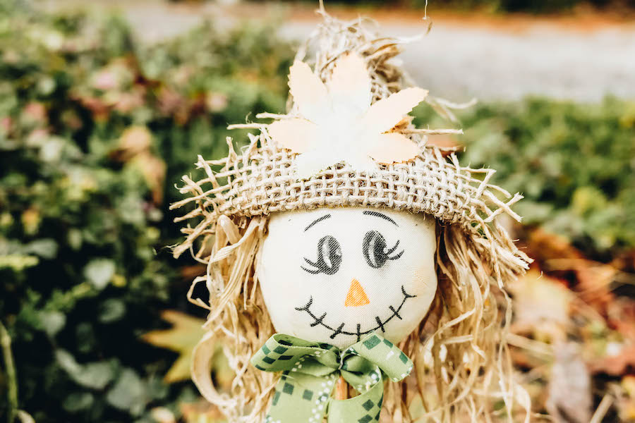 Make your own scarecrow for fall