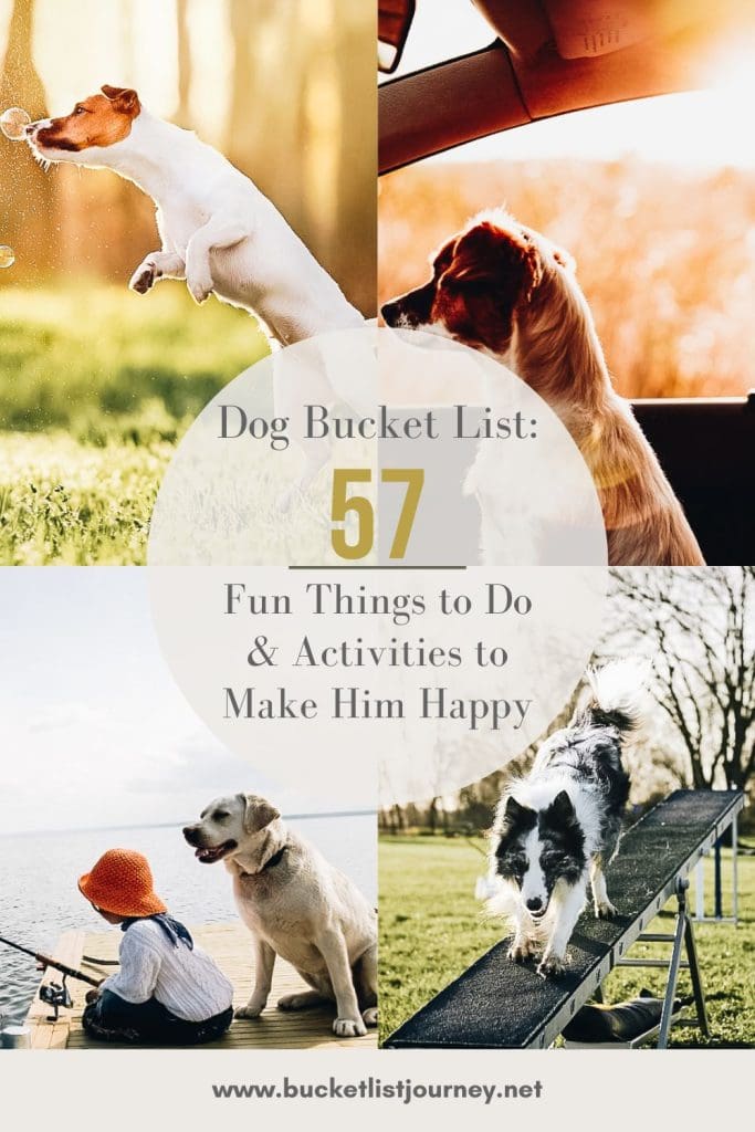 Dog Bucket List Pinterest