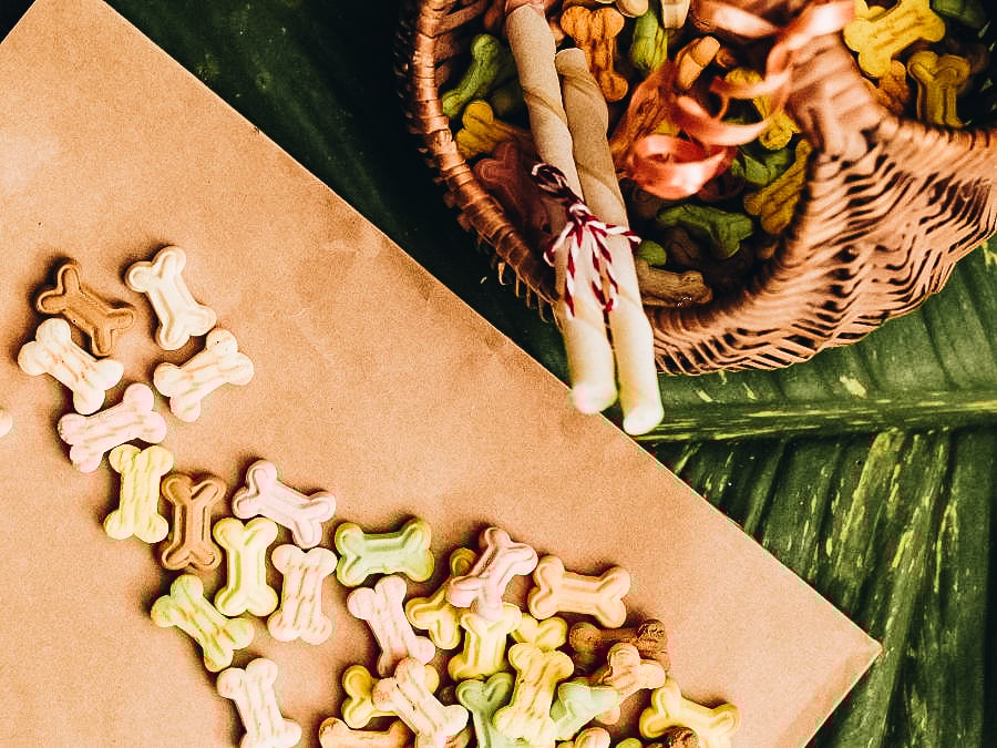 Make your own dog treats Make your own dog treats