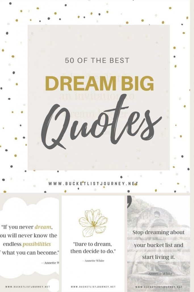 iQuotes - ❝ If you don't have big dreams and goals…