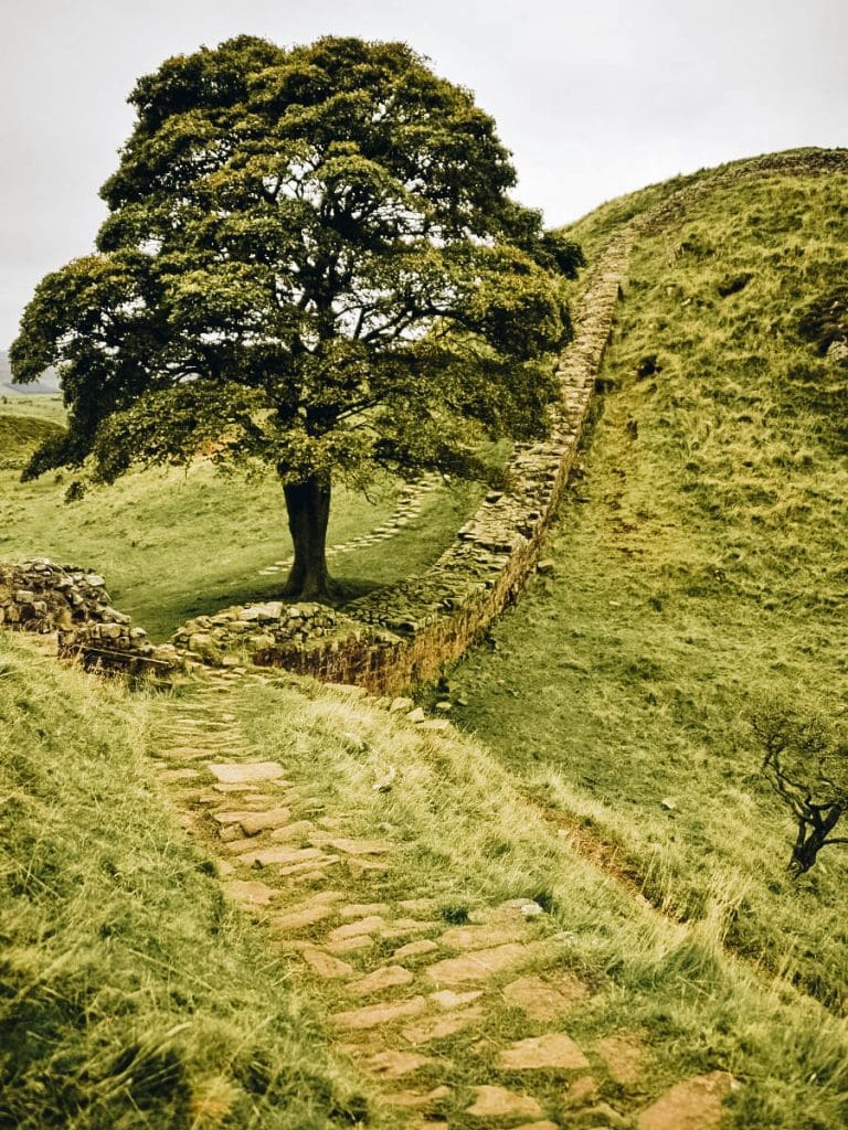 A view of Hadrian’s Wall Path England, United Kingdom