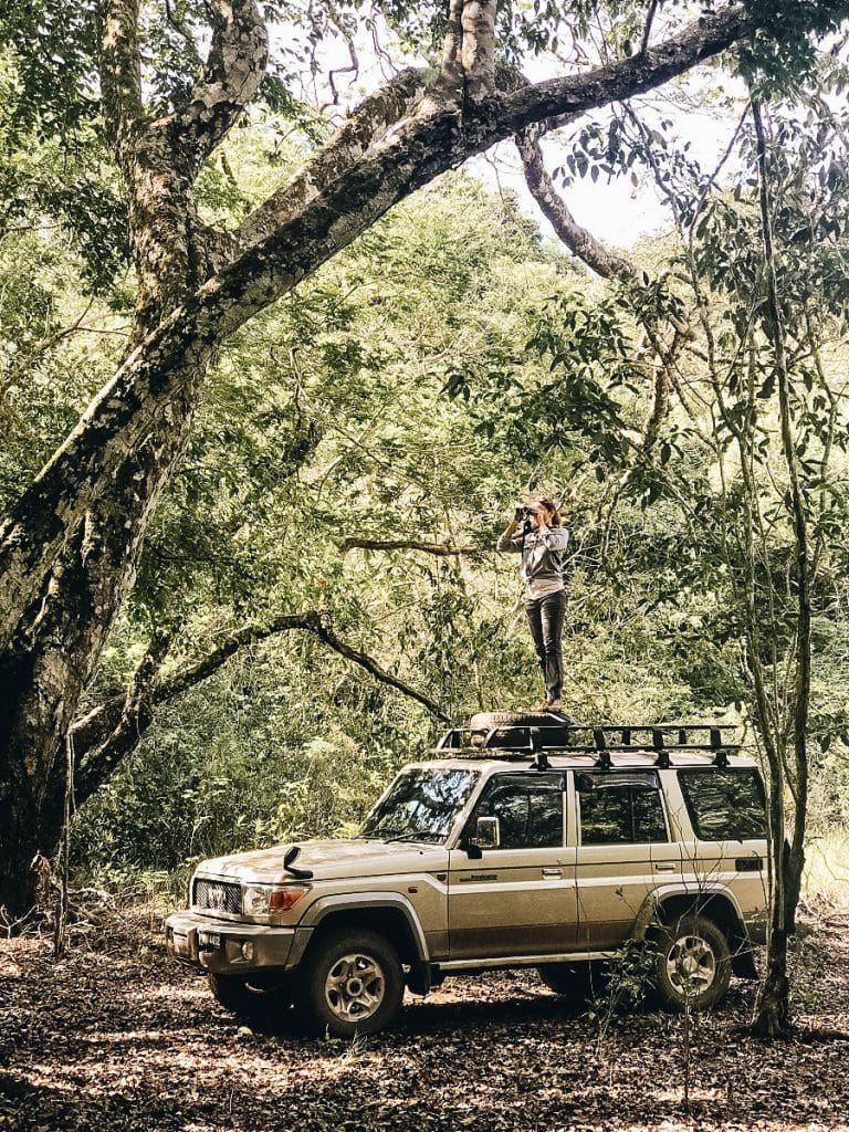 Annette standing on top of a car for bird wacthing