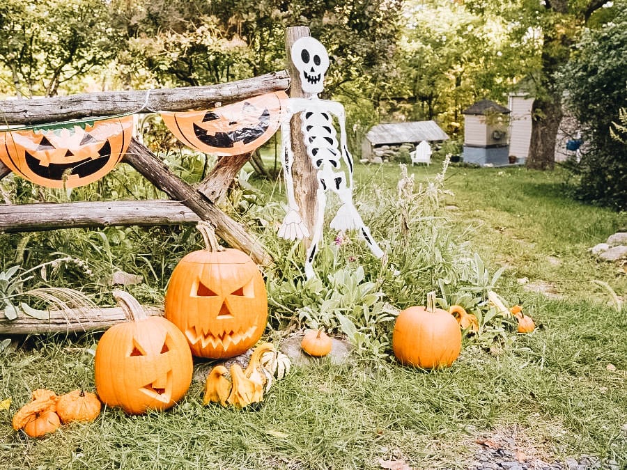 Yard Halloween decorations