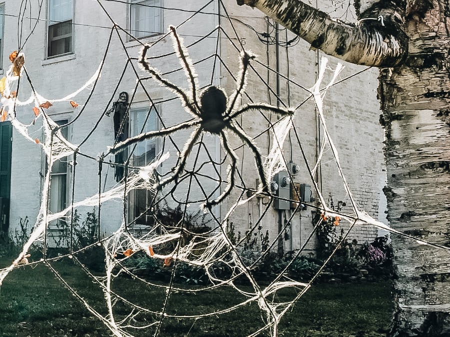 Create a Giant Spider Web Create a Giant Spider Web