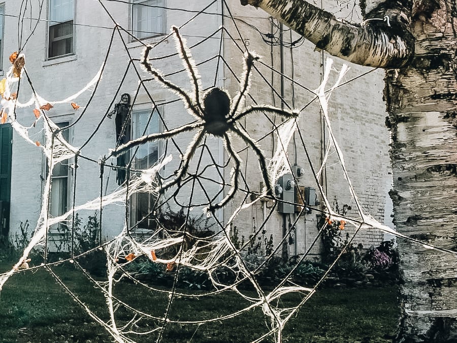 Create a Giant Spider Web