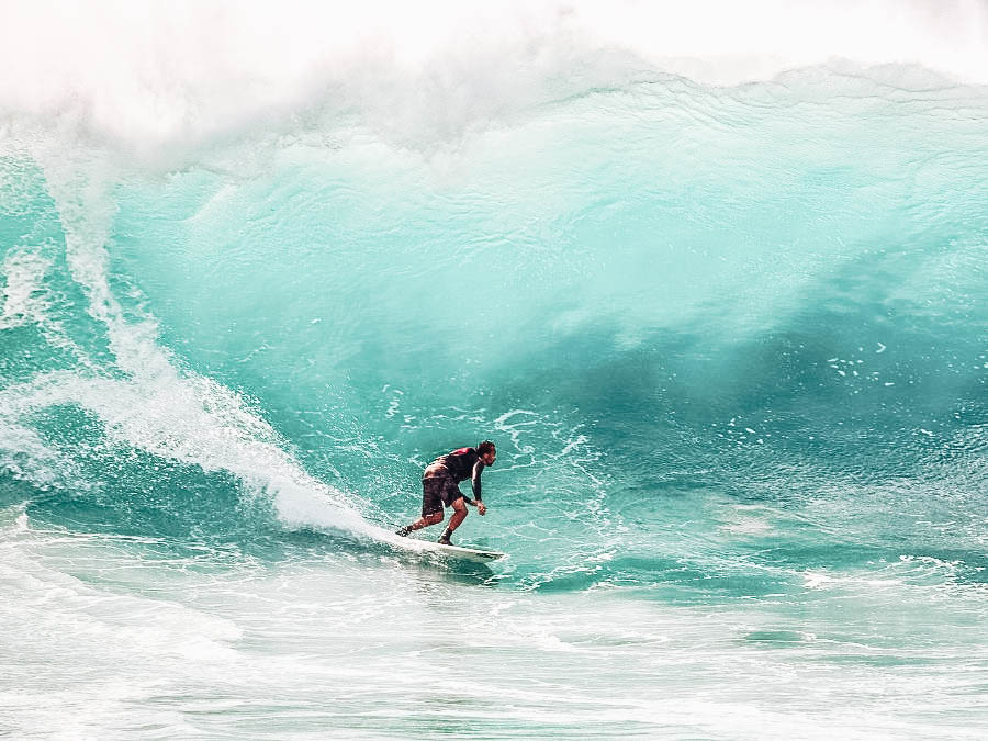 Catch a Wave Surfing