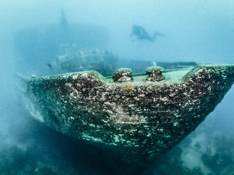 Dive to a Shipwreck