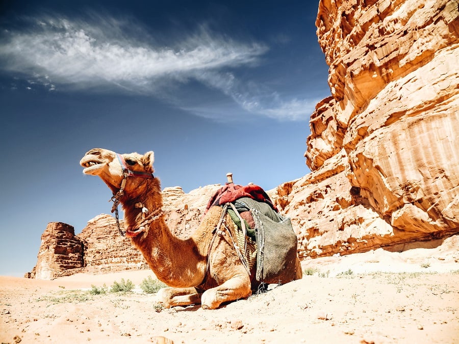 Wadi Rum desert - Top 5 sand dunes in Wadi Rum