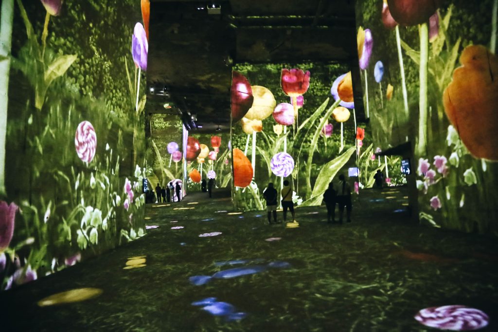 Carrières de Lumières in France