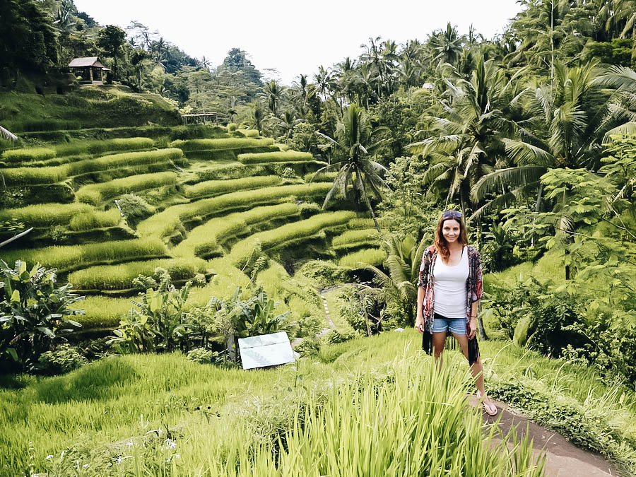 Tegalalang Rice Terraces