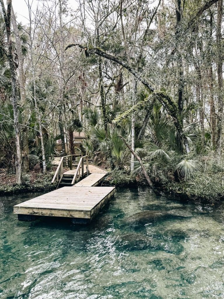 Homosassa State Park