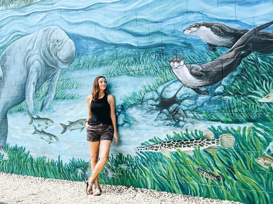 Crystal River Florida Street Art
