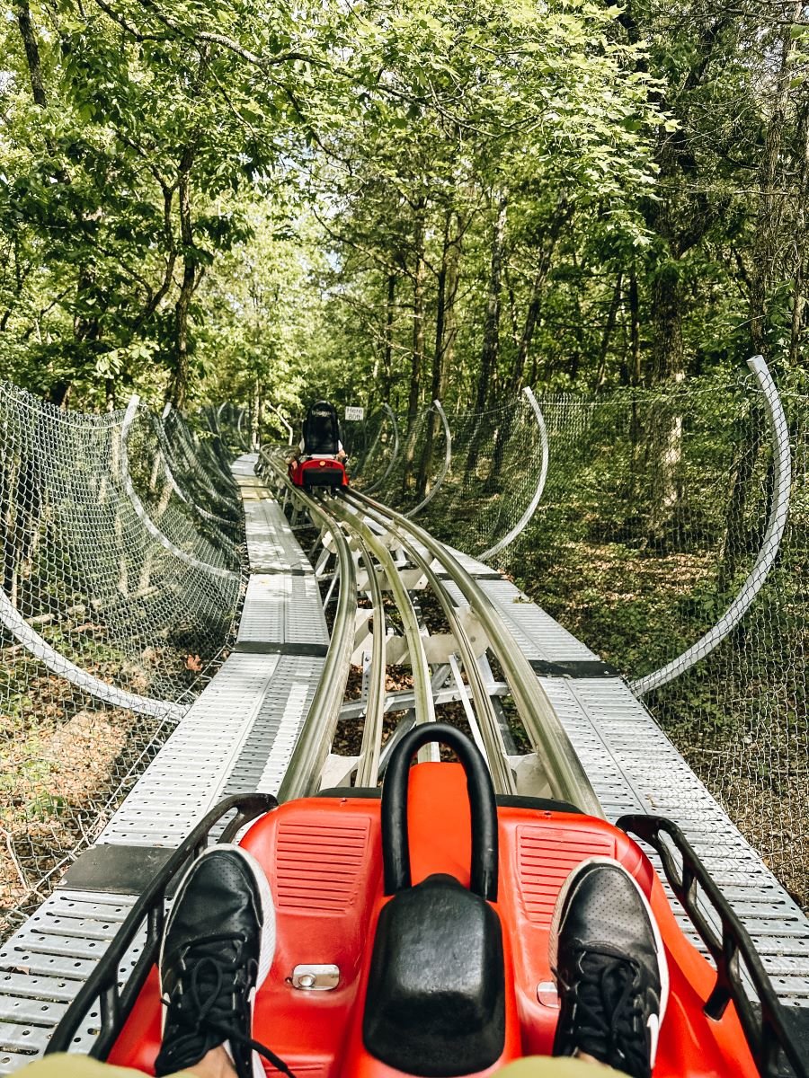 Copperhead Mountain Coaster