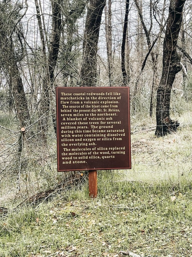 Coastal Redwoods Sign