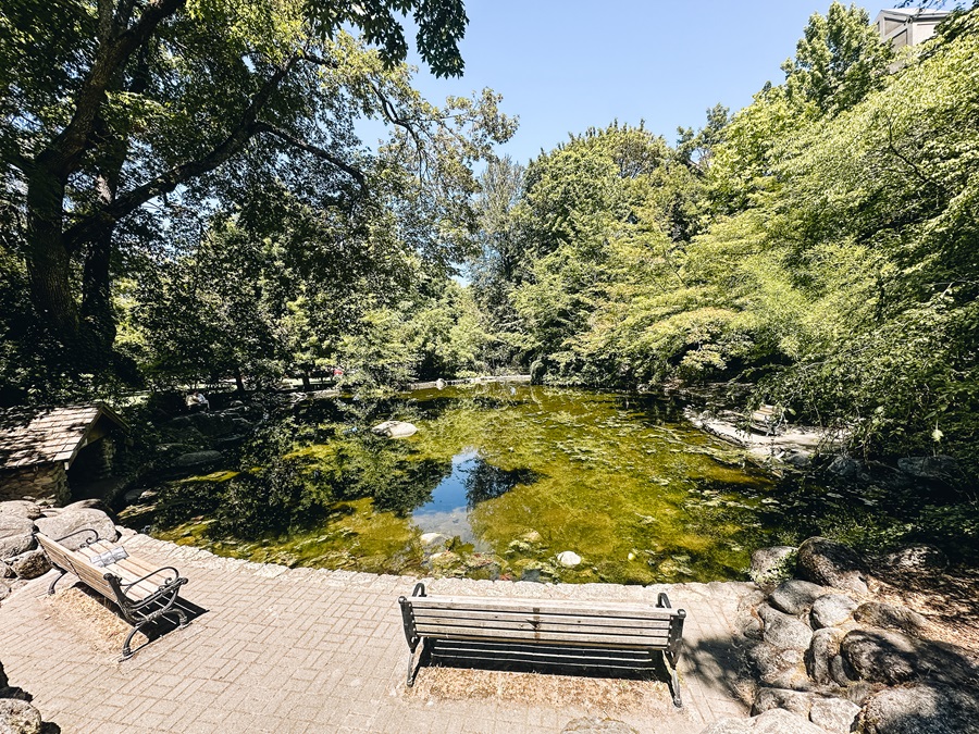 Lithia Park Duck Pond_