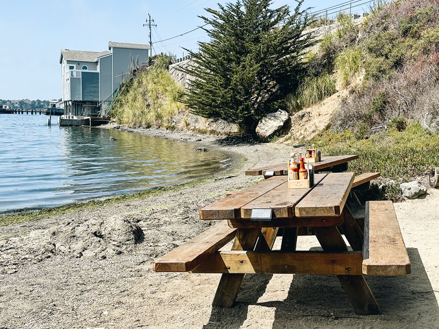 Fishetarian Patio