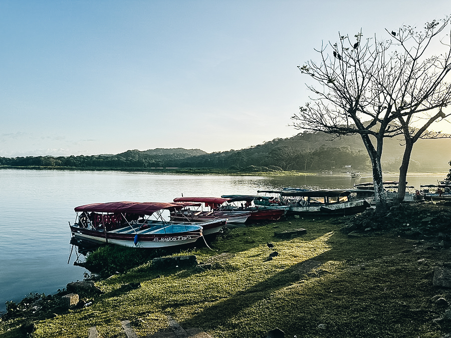 Monkey Island Boats