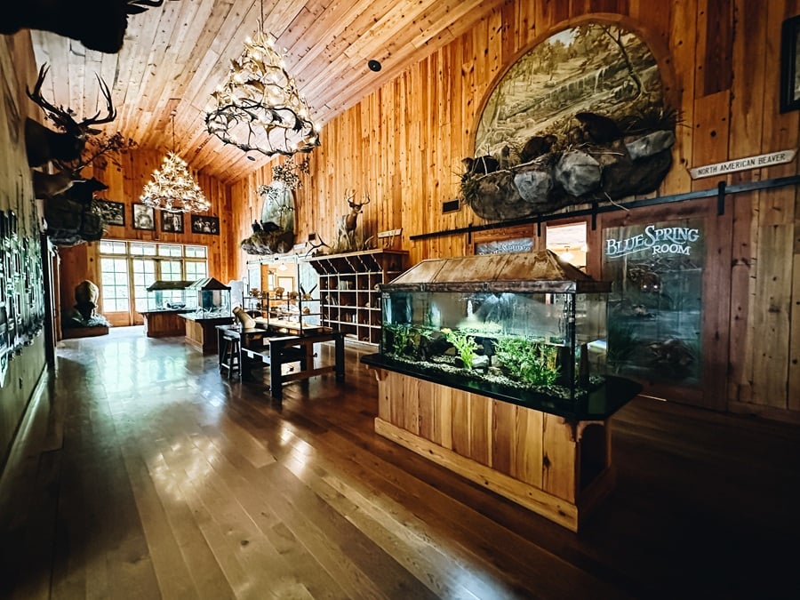 Lampe, Missouri Nature & Conservation Center