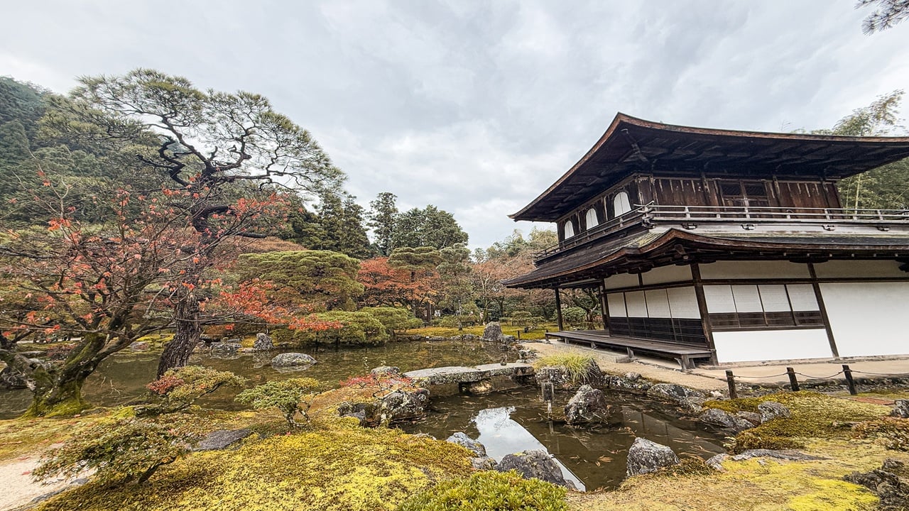 Japanes garden and white temple