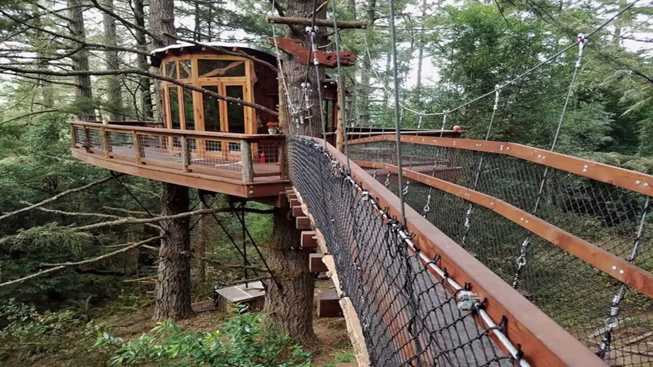 Suspension bridge that leads to a treehouse