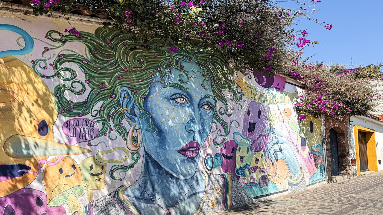 Barrio de Jalatlaco Oaxaca Street art of a womens face and a live plant growing that looks like hair.