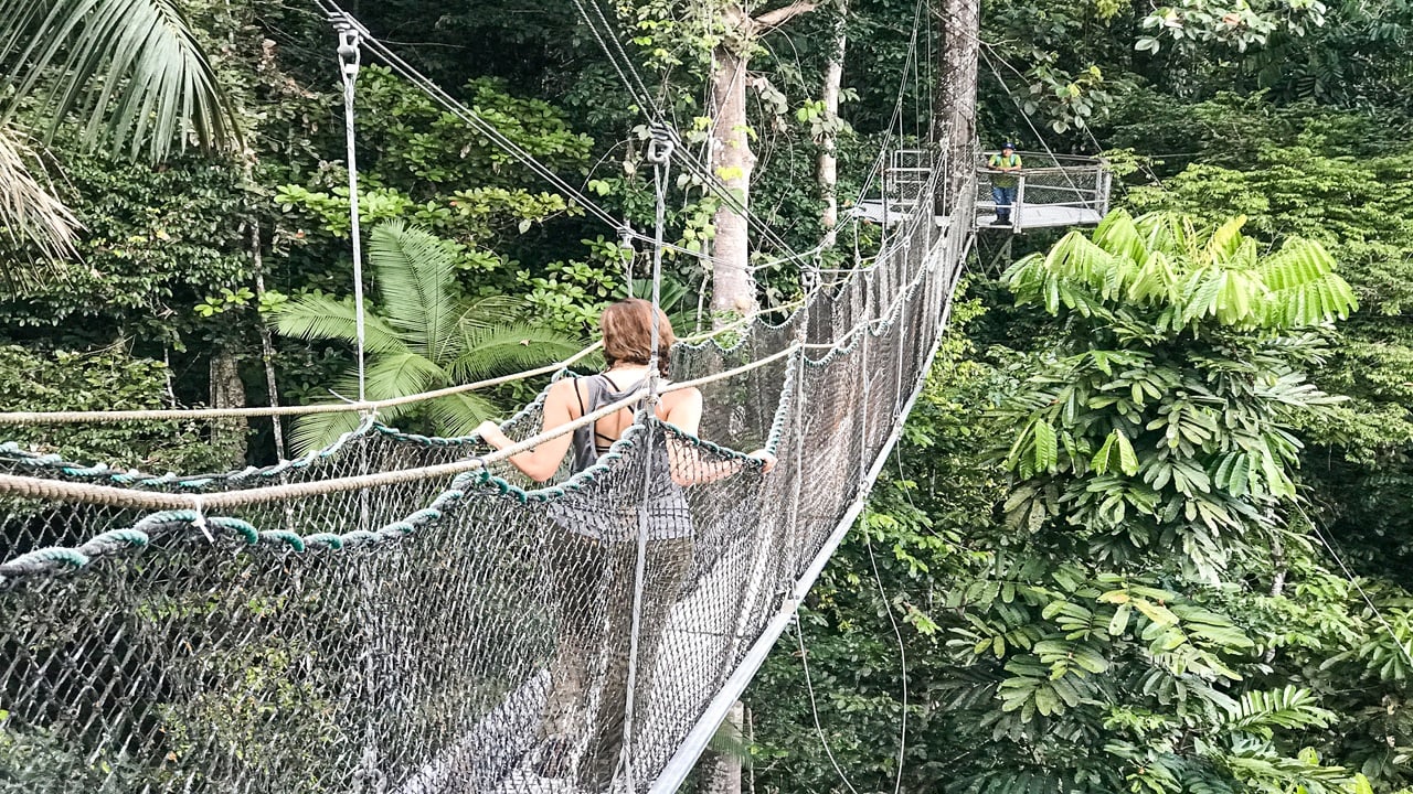 Women on a suspension bridge amongst the trees